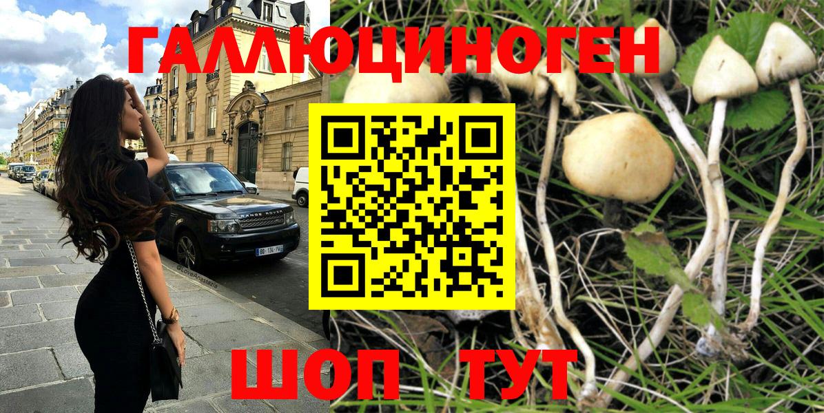 Псилоцибиновые грибы прущие грибы Лабинск